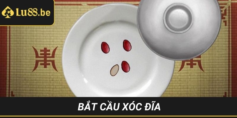 bắt cầu xóc đĩa