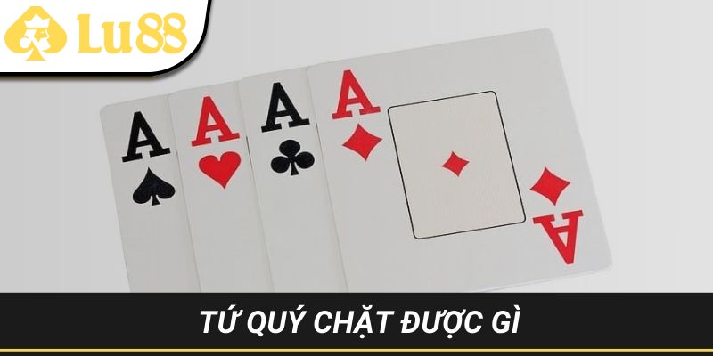 tứ quý chặt được gì