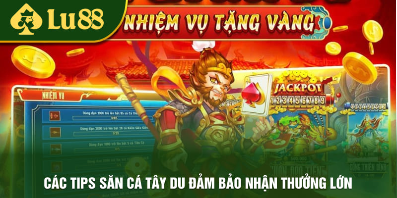 Chia sẻ một số kinh nghiệm săn cá trực tuyến thắng lớn cho newbie