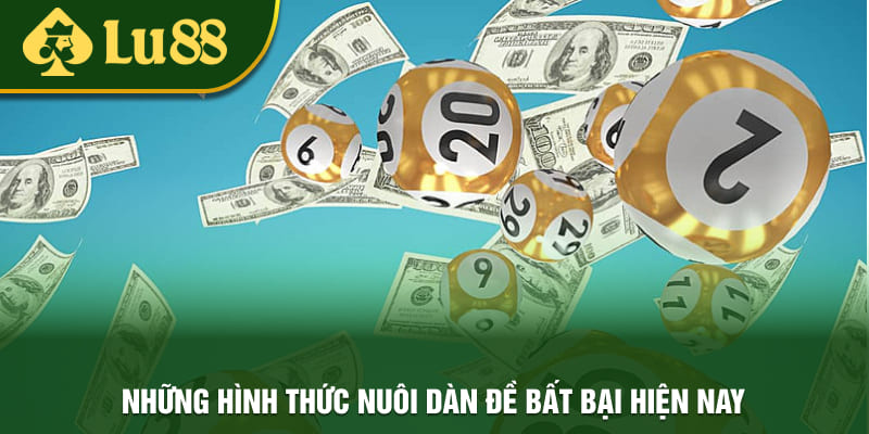 Một vài cách nuôi dàn đề bất bại dễ áp dụng